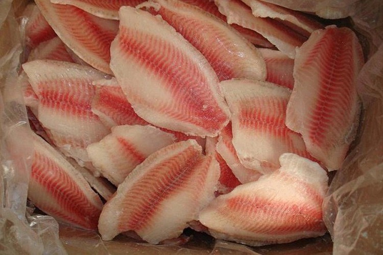 Brazil stops importing Vietnamese tilapia pending TiLV virus screening