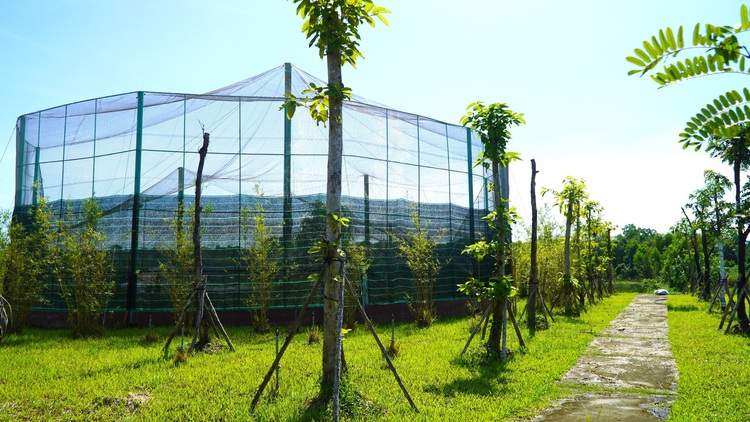 Vietnam’s Dong Thap approves $470,500 for red-crowned crane aviary construction