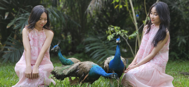 Ho Chi Minh City zoo offers free birthday entry tickets