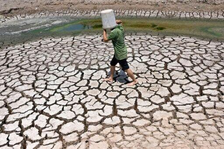 Vietnam farmers struggle for fresh water as drought brings salinization