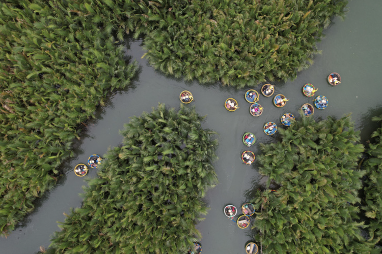 Vietnam’s Quang Nam to treat European travelers to nipa palm forest tours