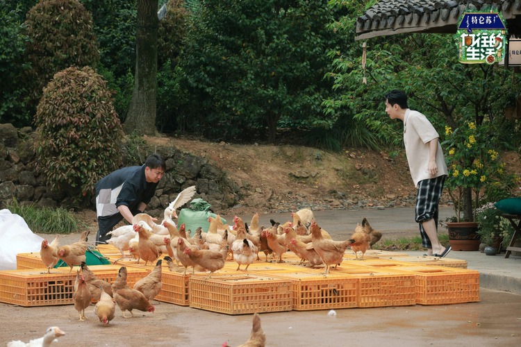 Vietnamese remake of China’s farming-themed reality show to be aired in Q4