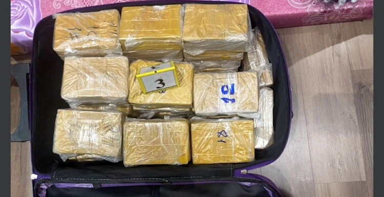 Vietnam police arrest 2 foreign suspects in transnational drug trafficking ring