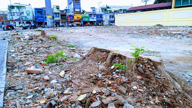 Relocation, felling of 453 trees proposed for Ho Chi Minh City’s 2nd metro construction