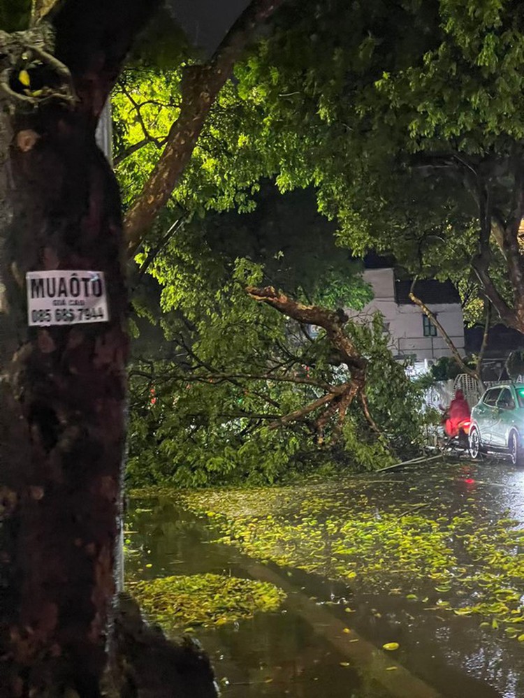 Heavy rain, gale-force winds uproot trees, hail falls in Hanoi