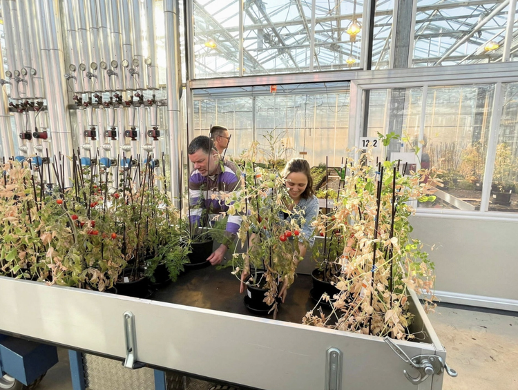 Scientists explore how to improve crop yields - on Mars
