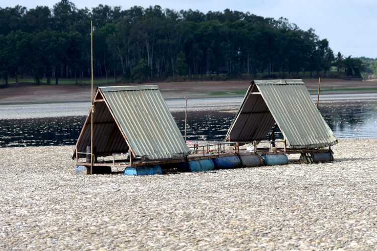 Some 200 tonnes of dead fish removed from reservoir in Vietnam’s Dong Nai
