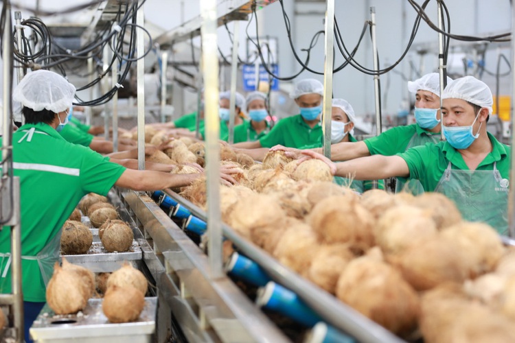 Vietnam’s banks spearhead green credit initiatives
