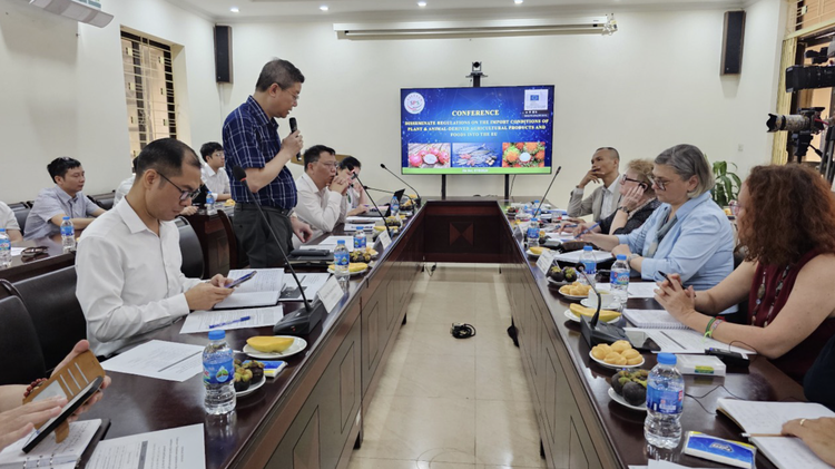 Vietnamese dragon fruit, okra risk export suspension from EU: EC official