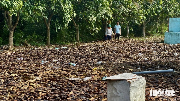 Locals irked by pollution from fruit processing facility in Vietnam’s Dong Thap