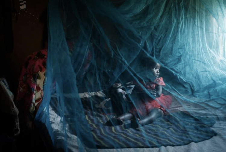 Hotter, drier, sicker? How a changing planet drives disease