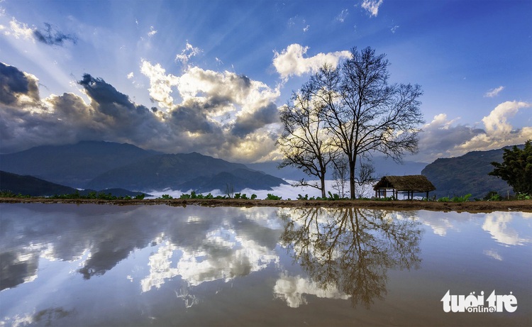 Terraced fields reflect nature’s palette in northern Vietnam’s flood season onset