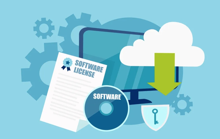 Software Alliance urges Vietnam to boost fight against unlicensed software use