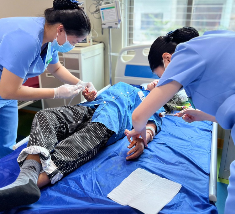 Beehive removal leaves several stung, 2 victims with nearly 100 stings in Vietnam's Hai Phong