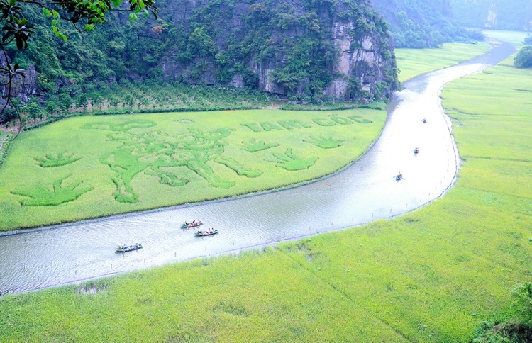 Colossal flute-playing buffalo shepherd artwork on rice field stars in Vietnam’s Ninh Binh tourism week