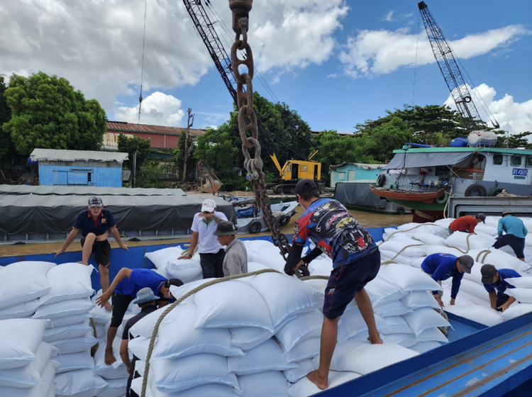 Global shortage of rice creates big chance for Vietnam to boost exports: ministry