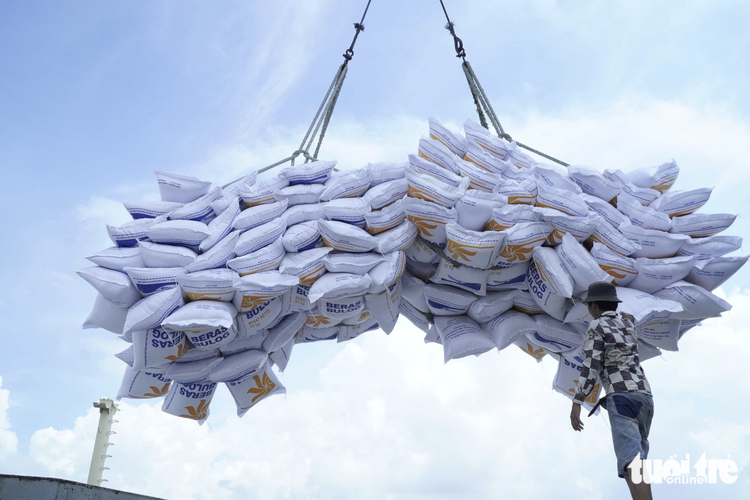 Concerns increase as Vietnam’s Loc Troi Group wins rice exporting bids at low prices