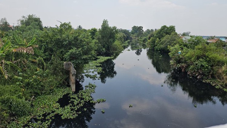 Fertilizer producer fined $12,250 for illegal wastewater discharge in southern Vietnam