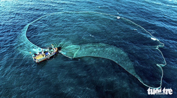 In photos: Charm of anchovy fishing season in south-central Vietnam