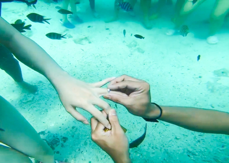 Underwater proposal: Seabed in Vietnam’s Phu Quoc a paradise for lovers