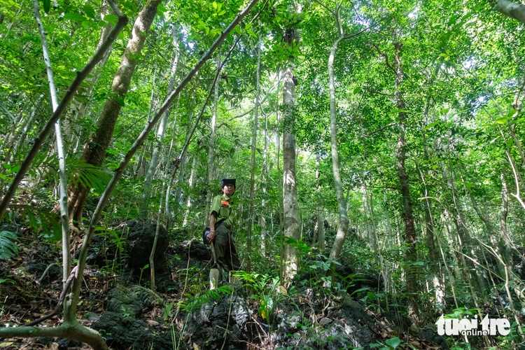 Uncharted sinkhole discovered in north-central Vietnam