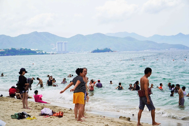 Nha Trang beach-goers warned of toxic bluebottles