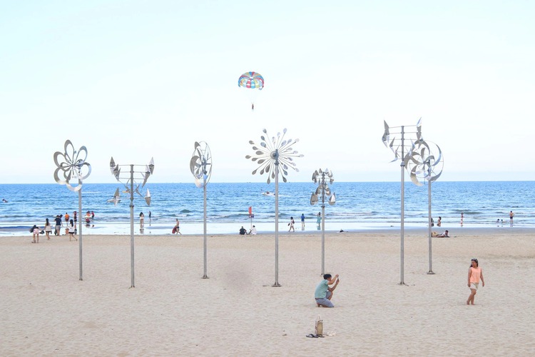 Da Nang beach flower walk draws huge crowds