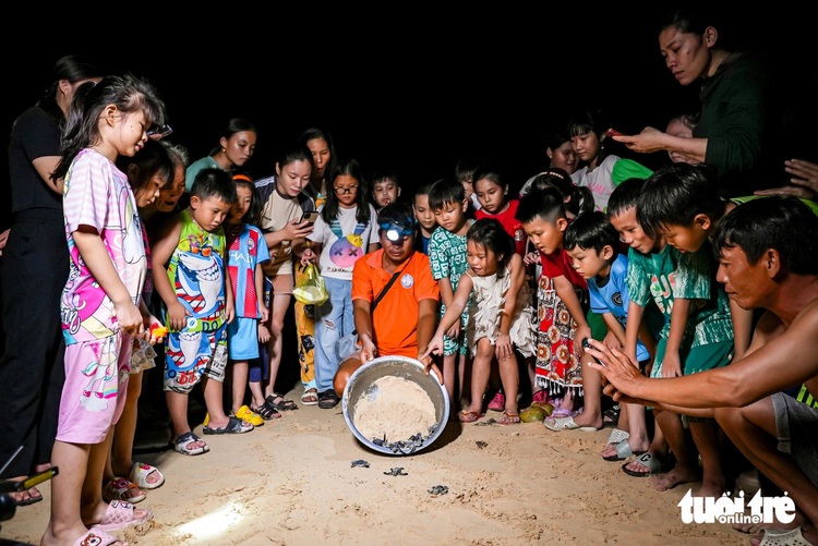 Crowd flocks to south-central Vietnam beach for sea turtle hatchlings