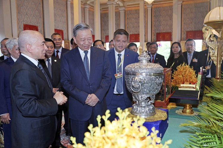 Cambodian King hosts welcome ceremony for Vietnamese State President