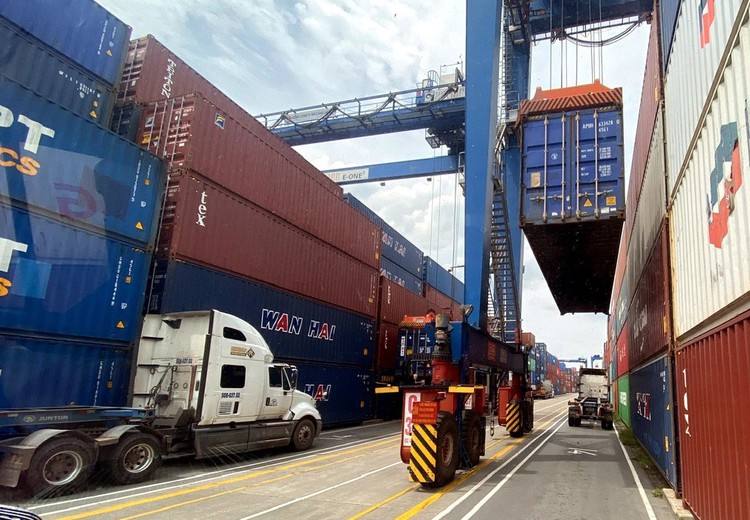 Vietnamese enterprises suffer from growing sea freight prices