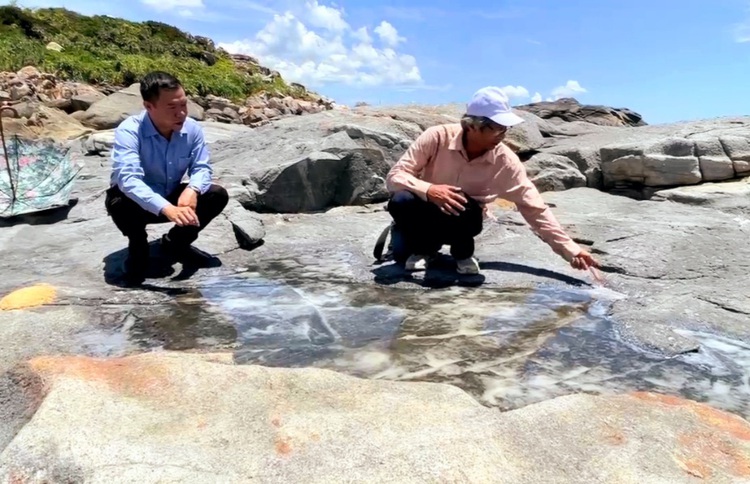 2,000-year-old salt field discovered in central Vietnam