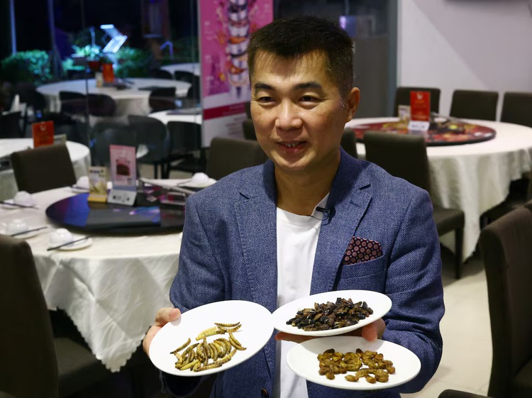 Crickets get crunchy as Singapore approves edible insects amid food security push
