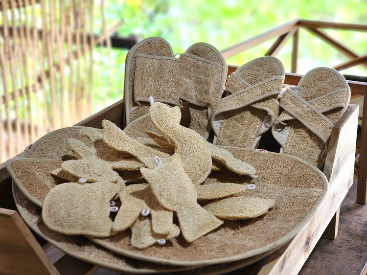 Vietnamese man makes eco products, including pet toys, from loofah