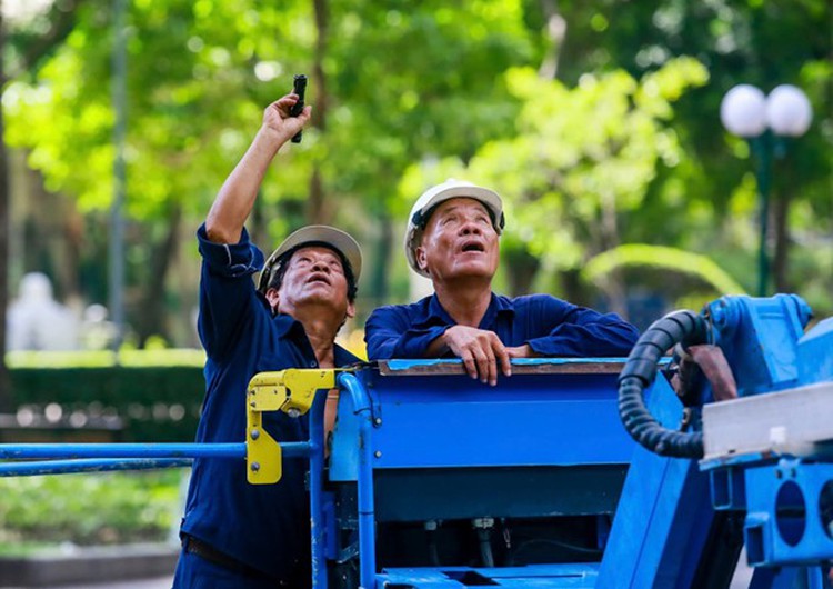 Ho Chi Minh City inspects, trims trees after fatal park incident