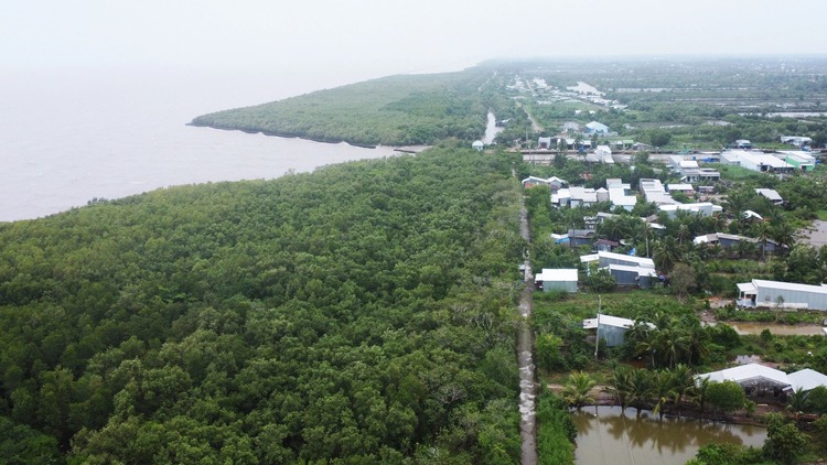 Over $35 mln earmarked for anti-erosion project in Vietnam’s southernmost province