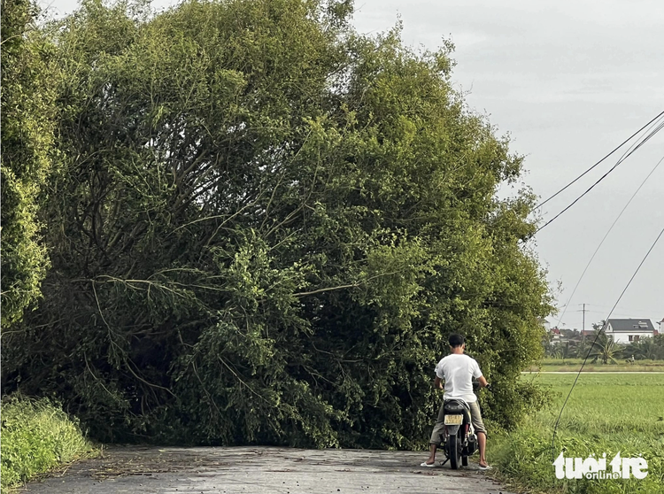 Typhoon Yagi leaves behind disastrous scenes in parts of northern Vietnam