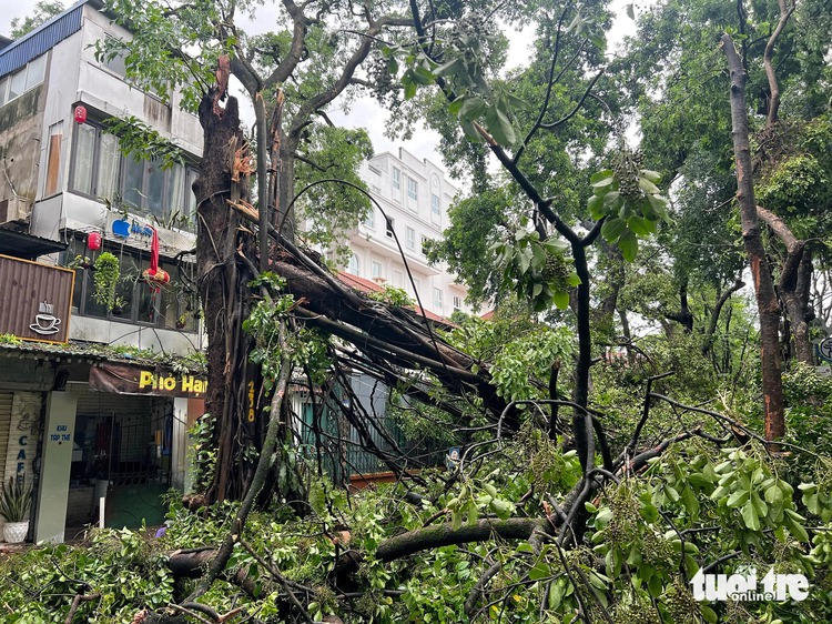 Typhoon Yagi claims lives, destruction surrounds Hanoi