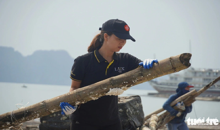 Volunteers clean beach in Vietnam’s Ha Long post-Yagi
