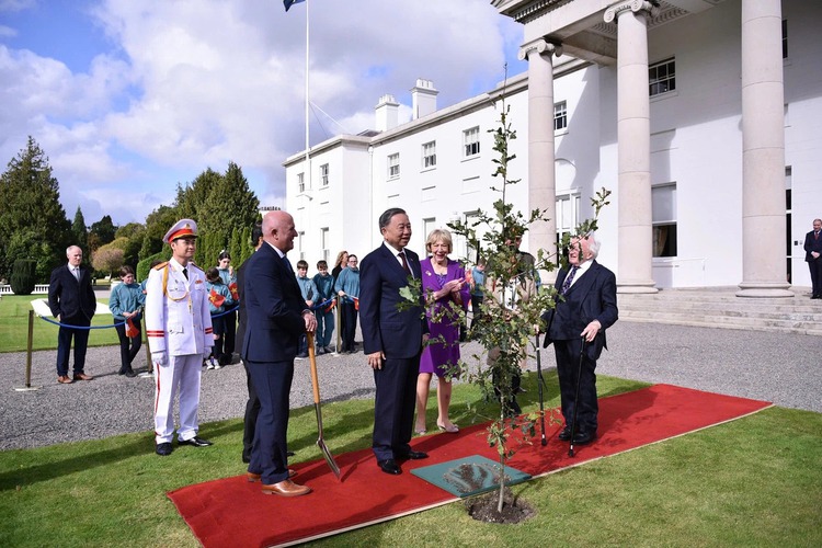 Vietnam, Ireland target $5bn trade, set up higher education partnership