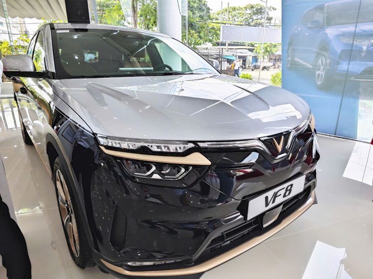State-owned SAMCO opens VinFast dealership in Ho Chi Minh City