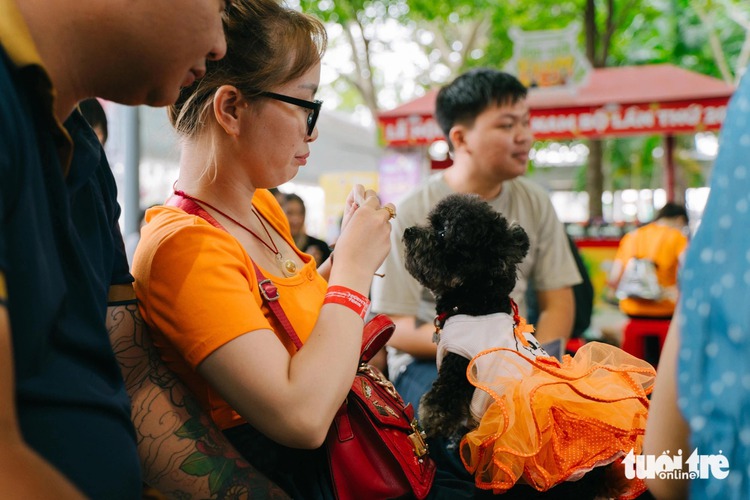 Pet owners dress up their furry friends for Ho Chi Minh City festival