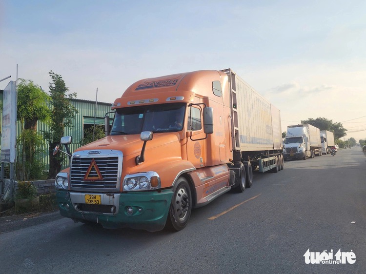 First shipment of fresh Tien Giang coconuts heads for China