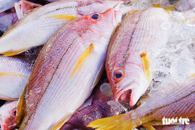 Hustle and bustle at Phu Quoc Island’s busiest fishing port