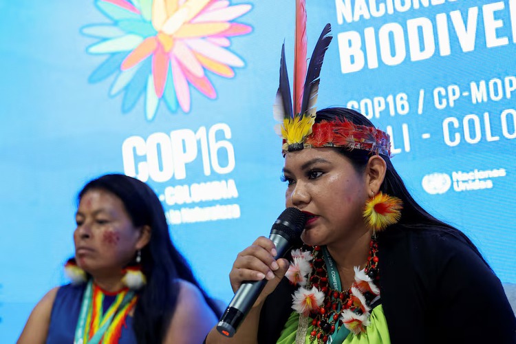 UN COP16 nature summit creates permanent body for Indigenous peoples