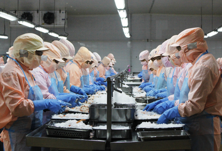 Vietnam’s seafood exports expected to fetch $10bn this year