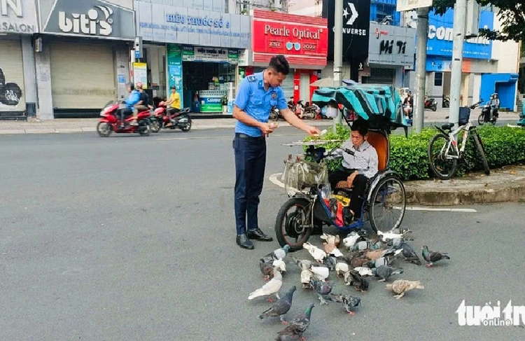 Lottery ticket vendor spends a quarter of income buying food for pigeons in Ho Chi Minh City