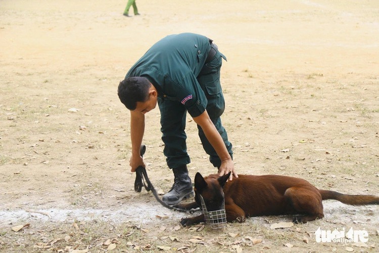Cambodian police show off dog training techniques learned in Vietnam