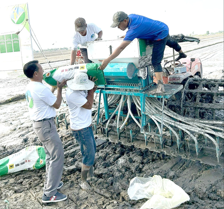 Vietnam rice branding faces multiple hardships