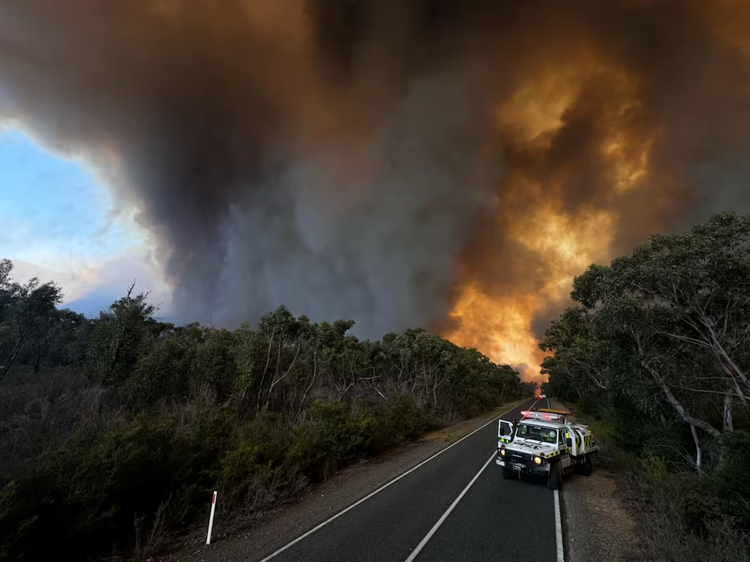 Australia's southeast sweats through heatwave, facing bushfire risk