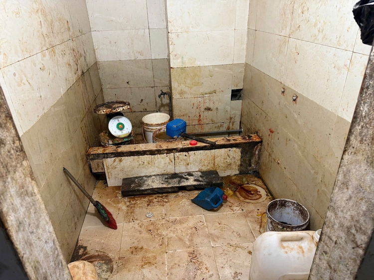 Snacks put on floor, rat carcasses found in Hanoi facility